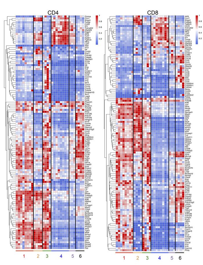 Heatmaps for differential gene expression.
Heatmaps for differential gen...