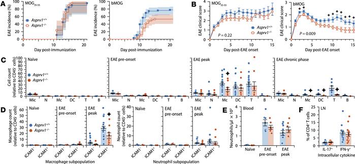ASPRV1 is required for the chronic phase of EAE induced with a B cell–de...