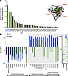 Classification of CD4bs mAb neutralization breadth.