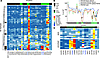 Polyclonal sera epitope-mapping results.