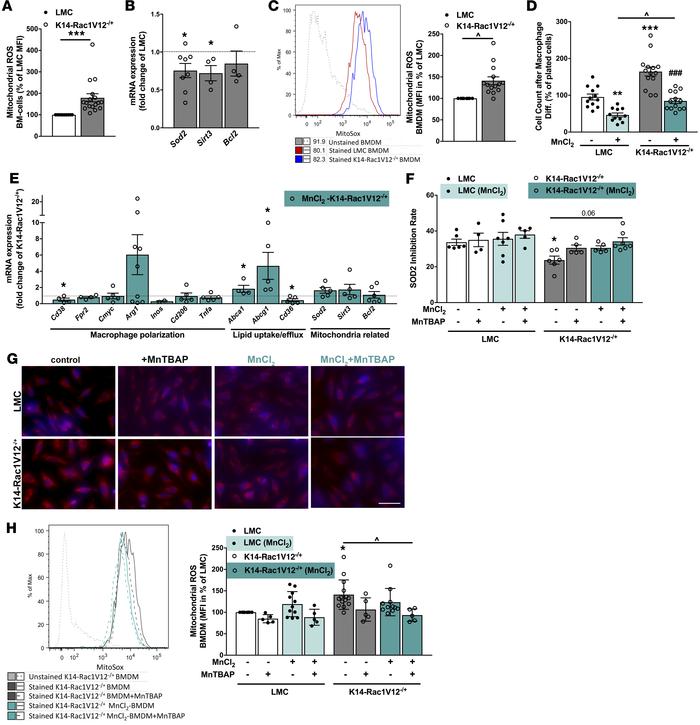Manganese-dependent superoxide dismutase 2 (SOD2) function is impaired i...