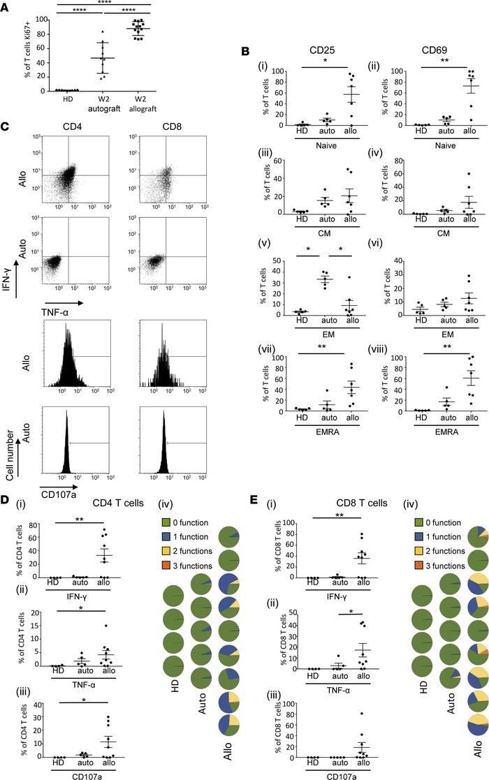 Week 2 T cells from allograft patients have a highly proliferative and a...