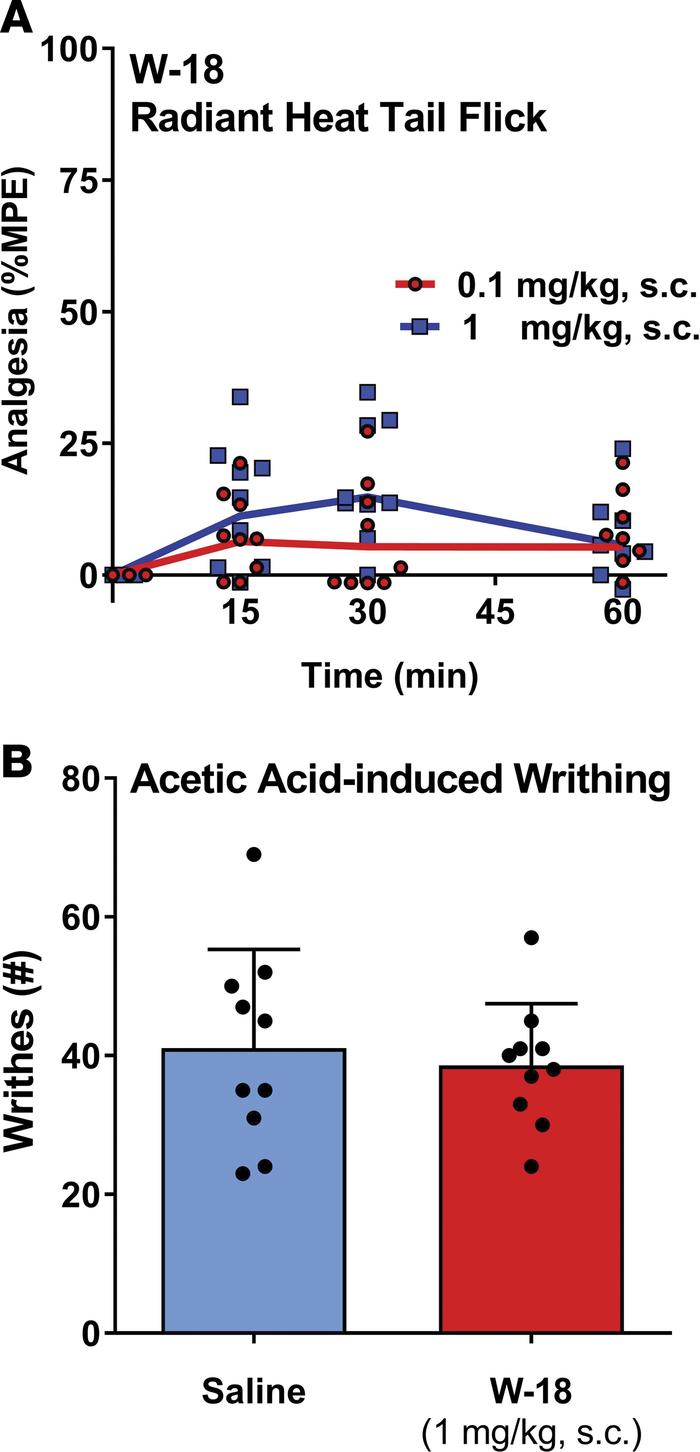 Analgesic activity of W-18 in tail-flick and writhing assays.
(A) Radian...