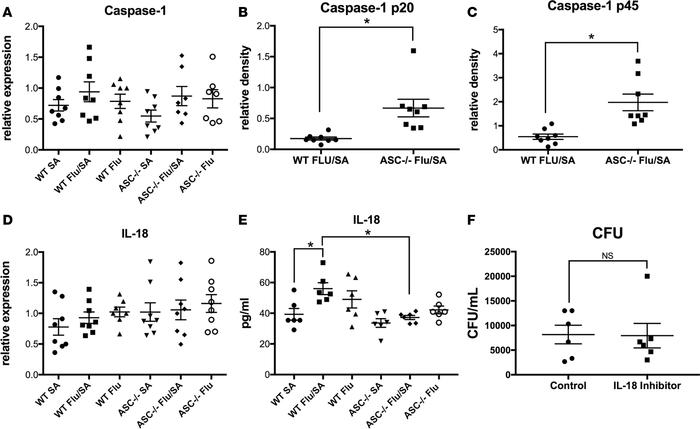 IL-18 does not alter bacterial clearance during superinfection.
C57BL/6 ...