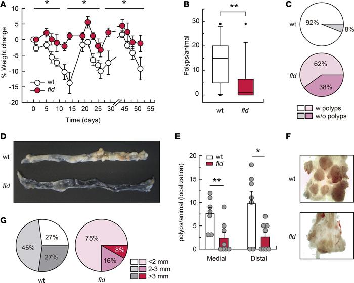 Lipin-1 deficiency decreases tumorigenesis in a murine model of colitis-...