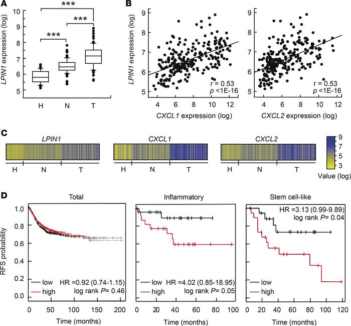 Expression pattern of LPIN1 in human UC and colorectal cancer and progno...