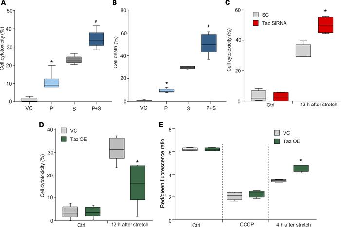Neuronal cell death is influenced by the CL-remodeling pathway after mec...