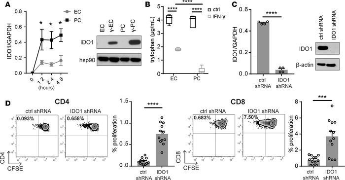 IDO1 inhibition ameliorates γ-PC–mediated suppression of TEM proliferati...