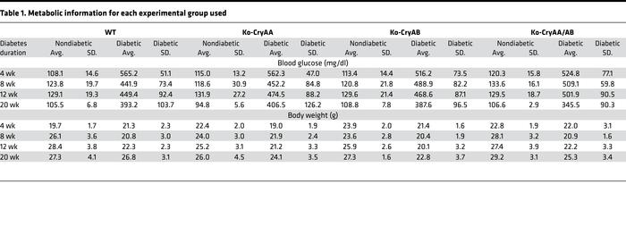 Metabolic information for each experimental group used