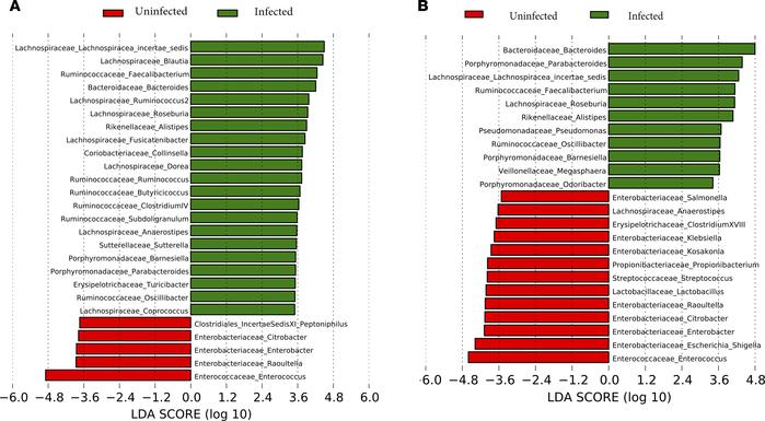 DNA comparison of infected versus uninfected cirrhotic patients.
Histogr...
