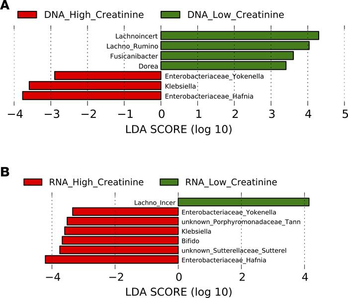 DNA comparison of cirrhotic patients with and without renal dysfunction....