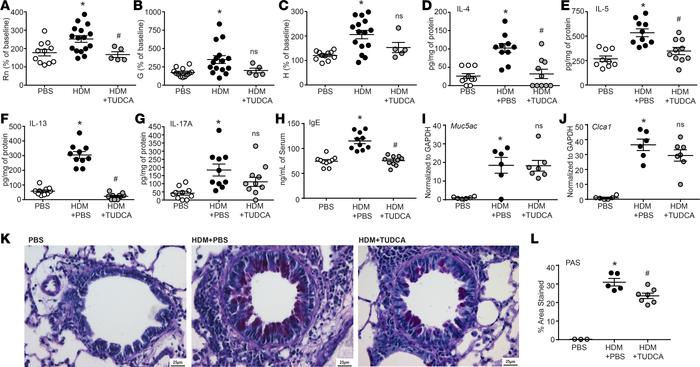 TUDCA attenuates AHR, IL-4, IL-5, IL-13, IgE production, and mucus metap...