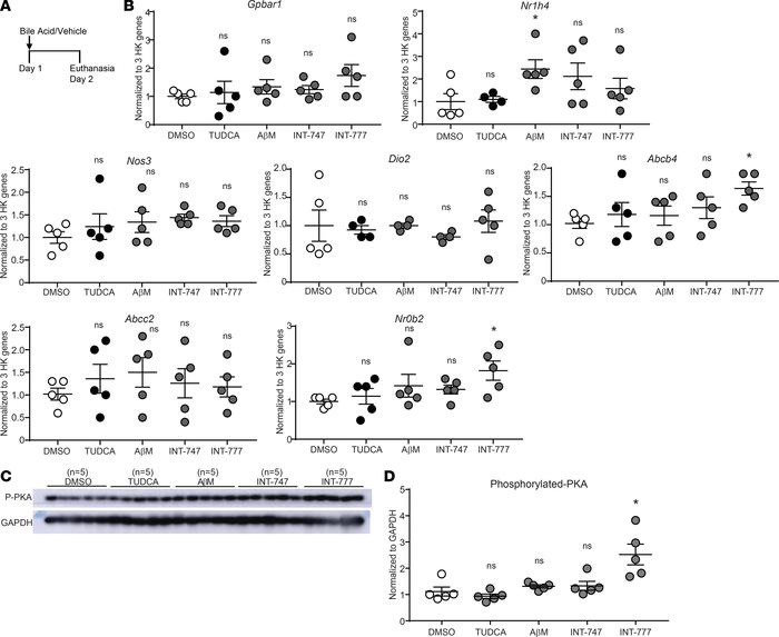 Solitary administration of bile acid-specific agonists and CBAs does not...