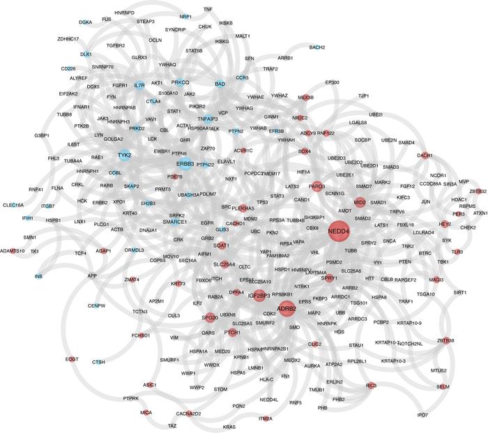 Protein-protein interaction network linking the products of differential...