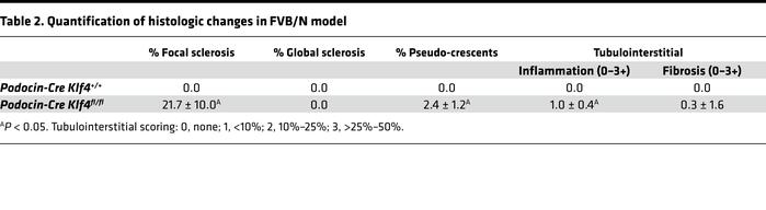 Quantification of histologic changes in FVB/N model