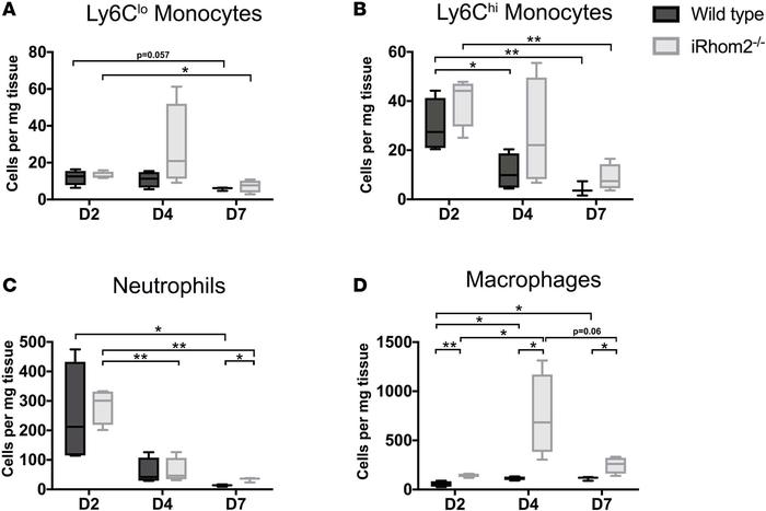 Immune responses in iRhom2-mutant adult mouse hearts after myocardial in...
