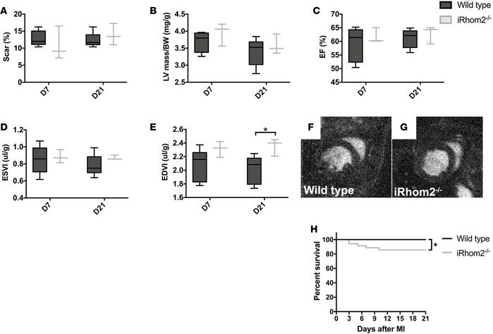 MRI functional parameters and Kaplan-Meier survival curve following myoc...