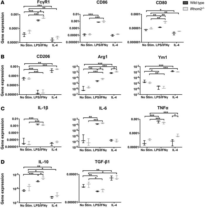Polarization and cytokine activation of BMDMs after in vitro stimulation...