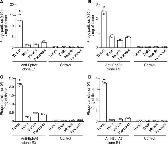 Anti-EphA5 monoclonal antibodies home to human lung cancer xenografts in...