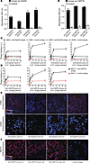 Characterization of scFv-displaying phage in vitro.