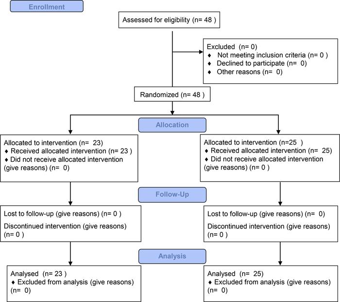 Consolidated Standards of Reporting Trials diagram.