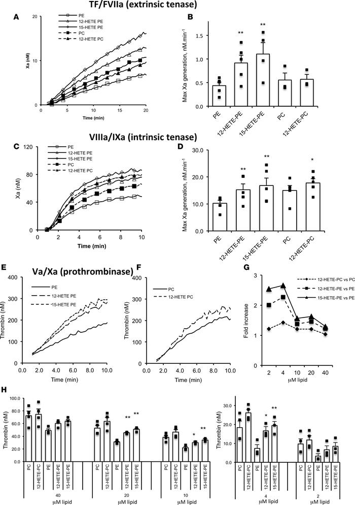 HETE-PLs enhance extrinsic tenase (FVIIa/TF), intrinsic tenase (FVIIIa/F...