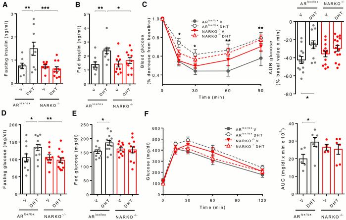 Chronic DHT excess predisposes female controls, but not NARKO–/– mice, t...