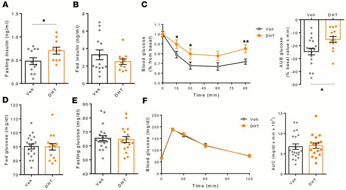 Chronic DHT perfusion in the brain produces insulin resistance in female...