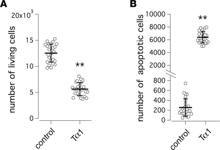 Evaluation of thymosin α-1 (Tα-1) effect on proliferation and apoptosis ...