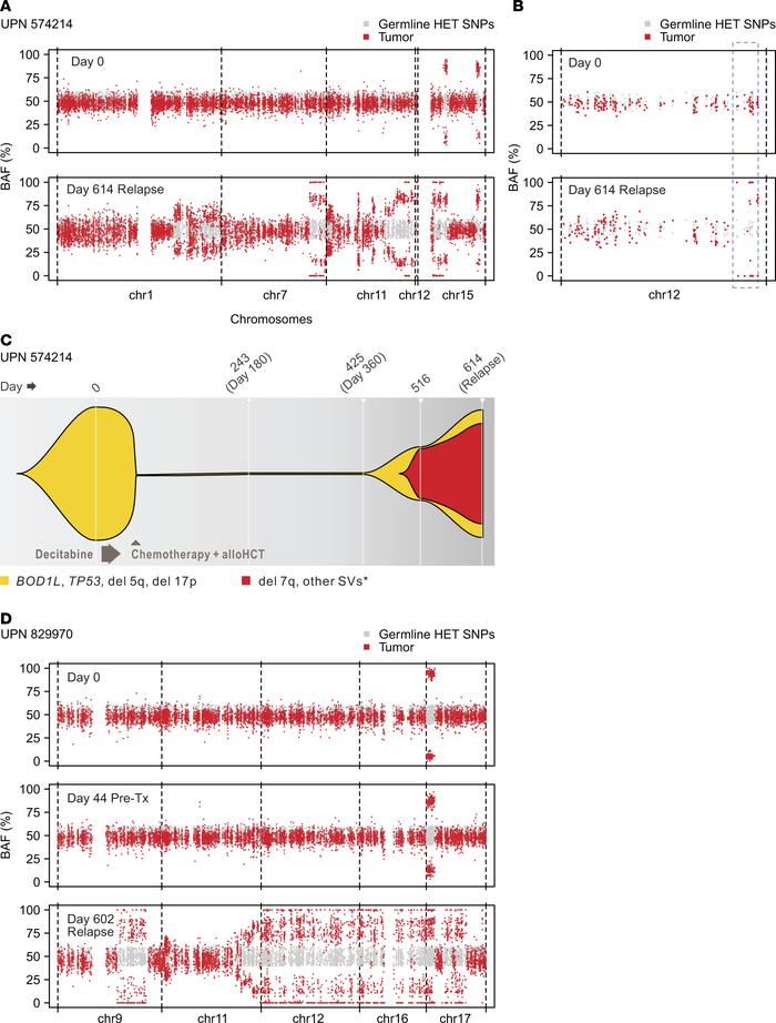 Structural variants contribute to clonal evolution after allogeneic hema...