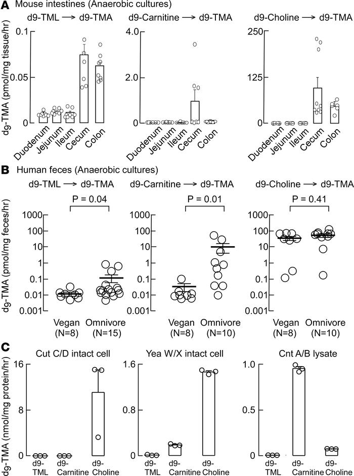 Characterization of microbial TMA formation from TML versus alternative ...