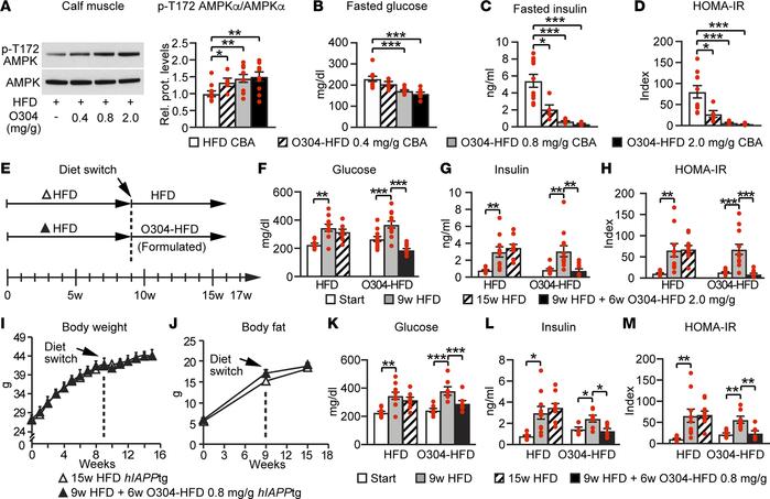 O304 dose-dependently averts dysglycemia in diet-induced obese mice and ...