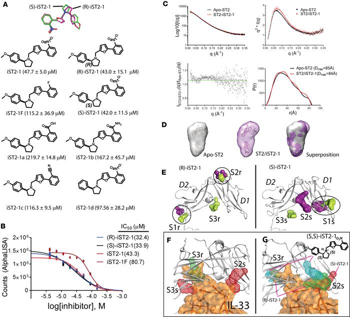 IC50 values of iST2-1 and its analogs, SAXS studies of apo-ST2, ST2/iST2...