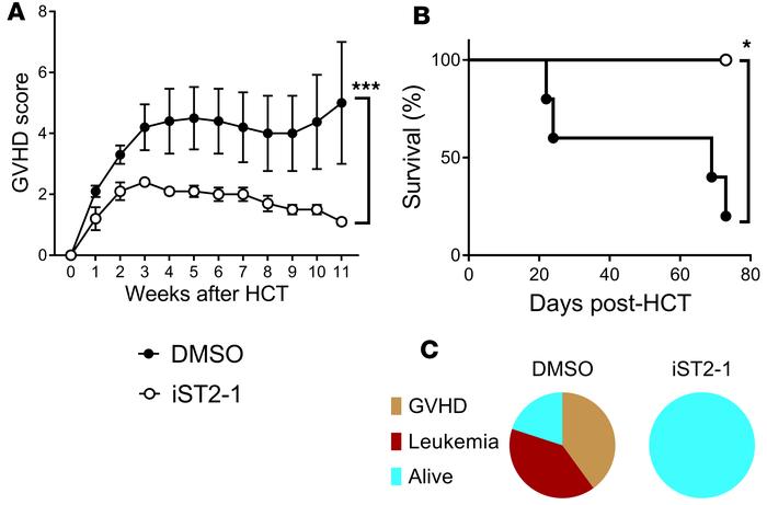 GVL activity in the C3H.SW mouse model treated with DMSO or iST2-1.
(A) ...