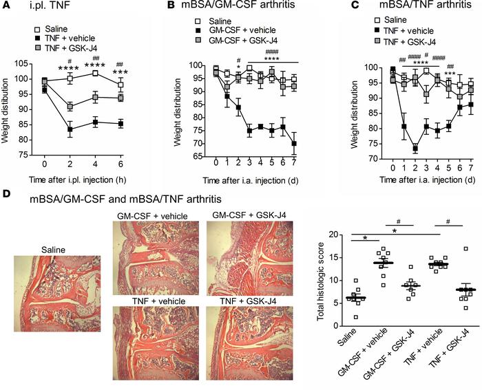 Inhibition of JMJD3 demethylase ameliorates TNF-driven inflammatory pain...