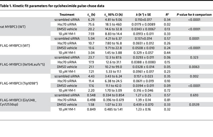 Kinetic fit parameters for cycloheximide pulse-chase data