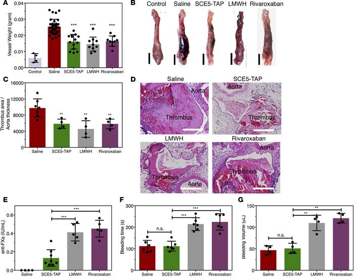 SCE5-TAP inhibits deep venous thrombosis without increased bleeding risk...