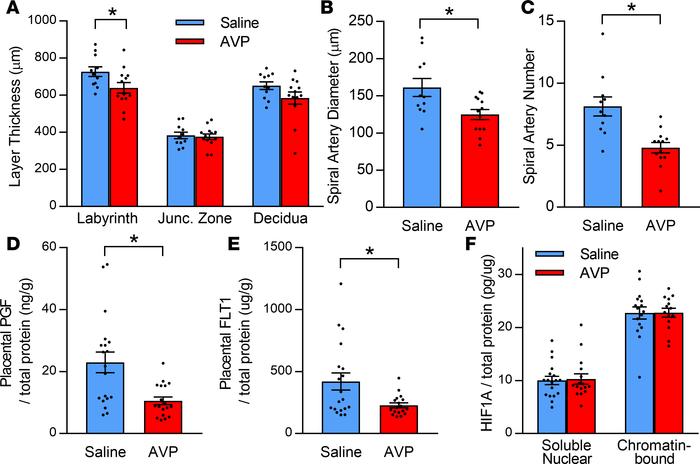 Arginine vasopressin (AVP) alters placental morphology and angiogenesis ...