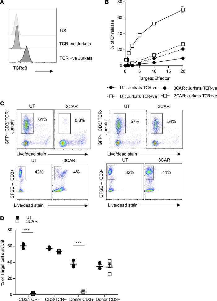 3CAR T cells mediate potent killing of CD3+ cells in vitro.
(A) TCR+ and...