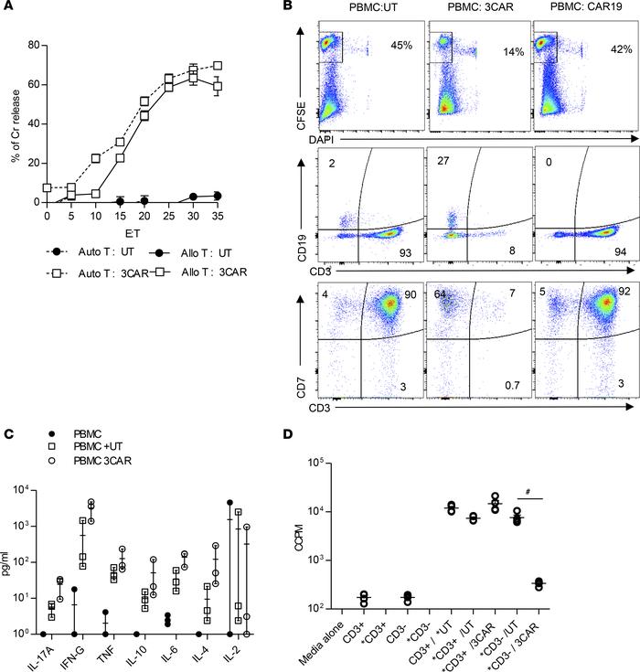 3CAR T cell functionality against healthy donor PBMC.
(A) 51Cr-labeled p...