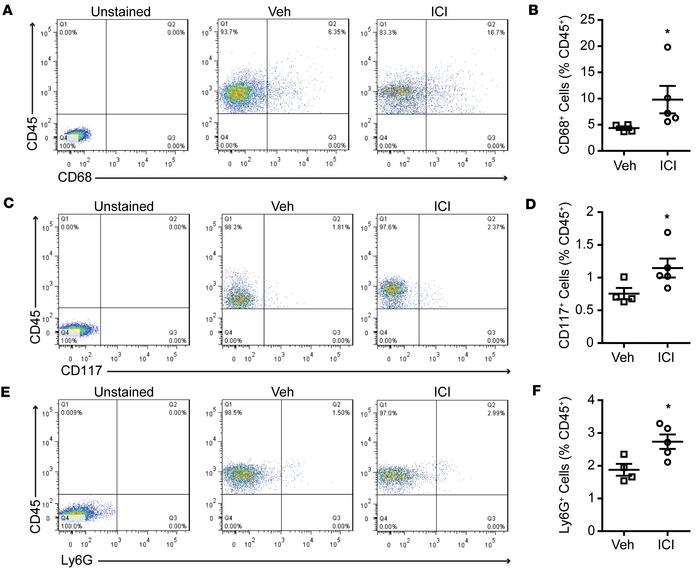 Flow cytometry analysis of splenic leukocyte accumulation following infu...