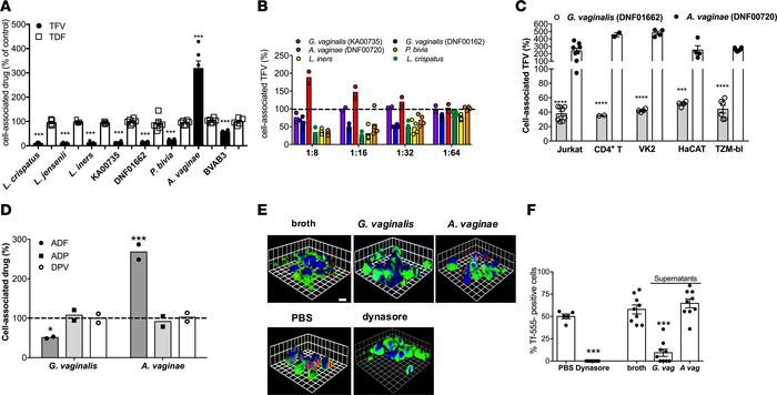 Effects of bacterial supernatants on drug uptake.
(A) Bacterial culture ...