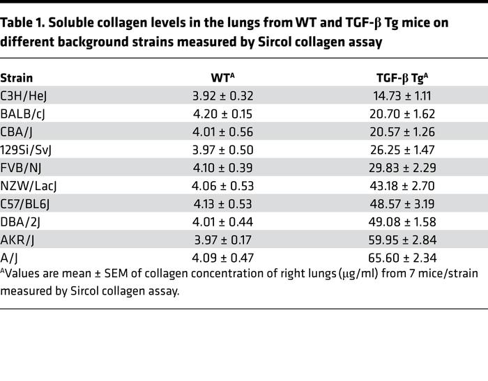 Soluble collagen levels in the lungs from WT and TGF-β Tg mice on differ...